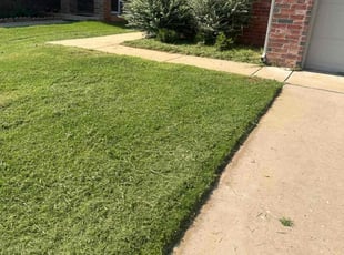 Doug p.'s Lawn Mowing Service service result