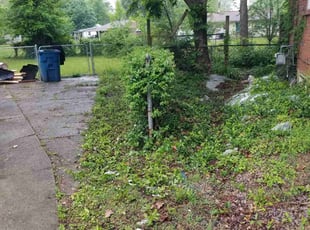 Bush Trimming by Jaden Benn for samantha c. in Louisville, KY