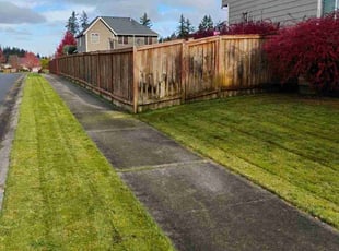 Mary C.'s Lawn Maintenance service result