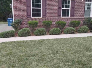 Calvin C.'s Lawn Mowing Service service result