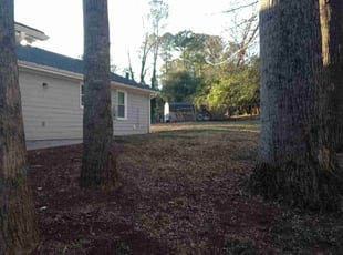 Leaf Removal by Gerald Oyerindr for Kinya J. in Decatur, GA