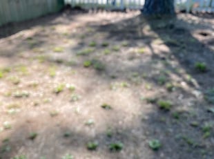 Cleanups by Padra Spencer for Rahim H. in Norfolk, VA
