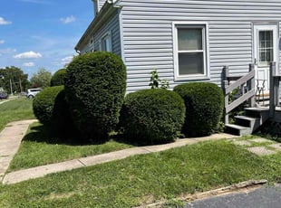 Bush Trimming by Evan Williams for Mickie H. in Dayton, OH