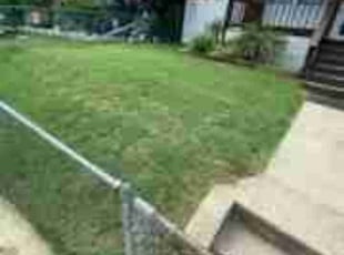 Francine P.'s Yard Cutting service result