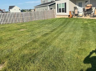 Brandon D.'s Lawn Mowing Service service result
