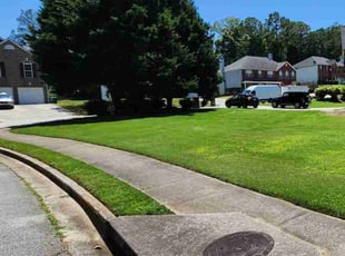 Pam L.'s Lawn Care service result