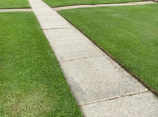Bush Trimming by Henry Talbert for Jorvis R. in Baton Rouge, LA
