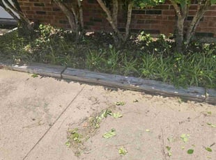 Weeding by Gary Joy for Sandy W. in Bedford, TX