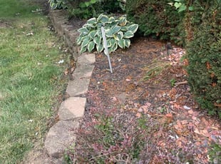 Weeding by Steven Green for Shirley G. in Dayton, OH