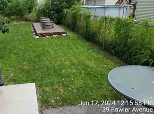 Jeannette J.'s Grass Cutting service result