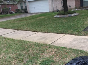Leaf Removal by Joseph Hopkins for Miryam G. in Houston, TX