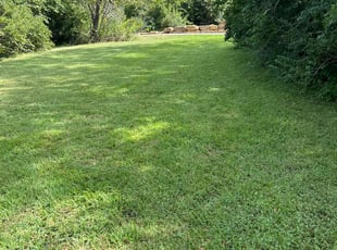 Justin W.'s Lawn Mowing service result