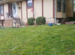 Bush Trimming by Julio Almestica for Karen D. in Blue Springs, MO