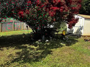 Cleanups by Cody Tipton for Richard B. in Inman, SC