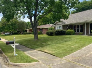 Christina C.'s Grass Cutting service result