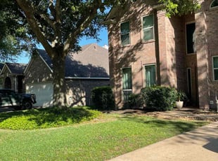 Leaf Removal by Abraham Flores for Jeff N. in Katy, TX