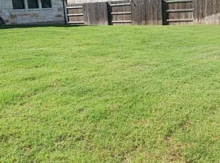 Angela p.'s Lawn Care service result