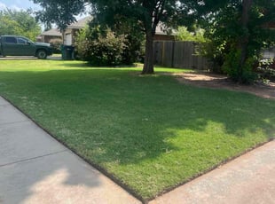 Bush Trimming by Ramiro Estrada for DANA W. in Oklahoma City, OK