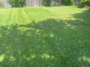 Dorothy G.'s Lawn Service service result