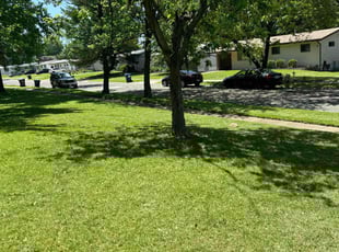 Aaron W.'s Lawn Maintenance service result