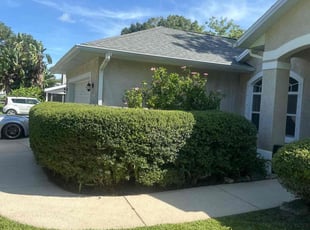 Bush Trimming by Cedric Wood for Kris G. in Edgewater, FL