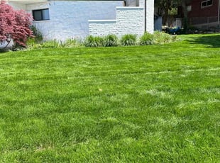 Jordan D.'s Lawn Care service result