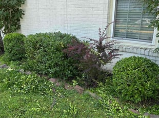 Bush Trimming by Miguel Rivera for Mike Q. in Leesburg, VA