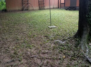 Leaf Removal by Eddie Hicks for Debra A. in Decatur, GA