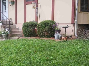 Bush Trimming by Julio Almestica for Karen D. in Blue Springs, MO