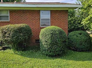 Bush Trimming by D'Eric Hinton for Lessie C. in Huntsville, AL