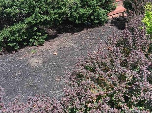 Leaf Removal by Jose Murcia for Jason J. in Bristow, VA