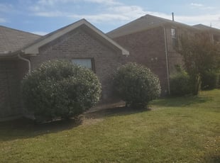 Bush Trimming by Greg Watson for Devin A. in Lancaster, TX