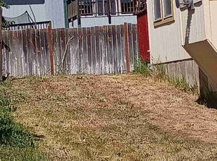 Cleanups by Sherry Tobey for Angela S. in Cheney, WA