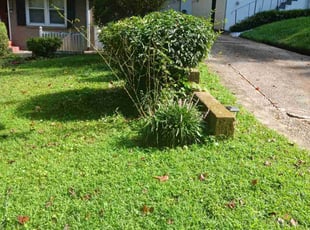 Bush Trimming by Richard Jones for Kimberly R. in Atlanta, GA