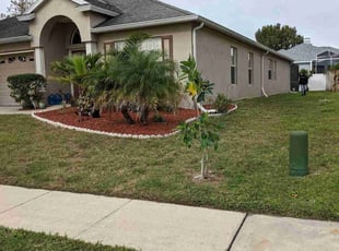Bush Trimming by Louis Reele for Chereka K. in Land O' Lakes, FL