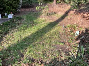 Leaf Removal by LaWanda Moses for Kathy W. in North Chesterfield, VA