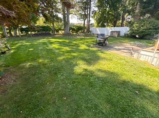Cindy S.'s Yard Cutting service result