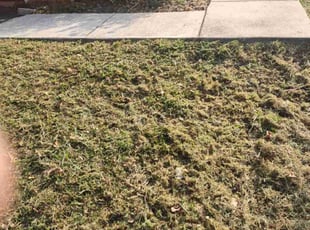Cleanups by Michael Schneider for Kane C. in Mountville, PA