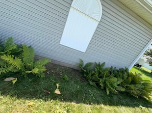 Leopoldo A.'s Flower Bed Weeding service result