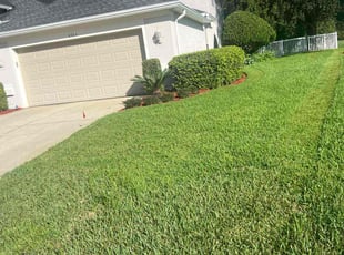 Mike D.'s Yard Cutting service result