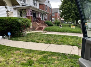 Bush Trimming by Steven Green for Lillya B. in Dayton, OH