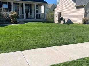 Jason P.'s Yard Cutting service result