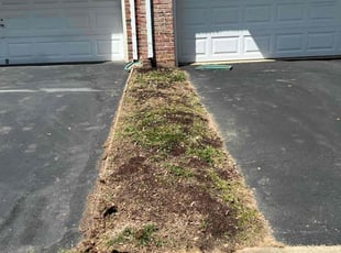 Weeding by Alberth Ariel Aguilar-Alvarez for Alex R. in Fairfax, VA