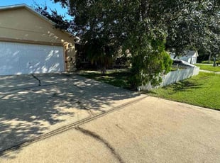 Bush Trimming by Dayana Rojas for Matthew C. in Kissimmee, FL