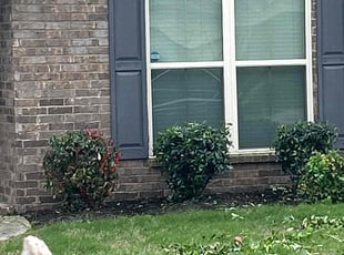 Landscaping by Jecory Garrett for Lettrice W. in Madison, AL