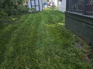 Bronwyn M.'s Lawn Care service result