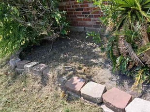 Weeding by Ana Zelaya for Manny O. in Houston, TX