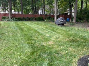 Diana H.'s Lawn Mowing service result