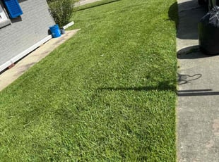 Thaddius H.'s Lawn Maintenance service result
