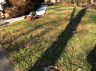 Leaf Removal by Jarell Tucker for Colin W. in Manassas, VA